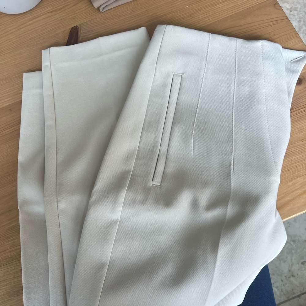 Zara Pleated Pants